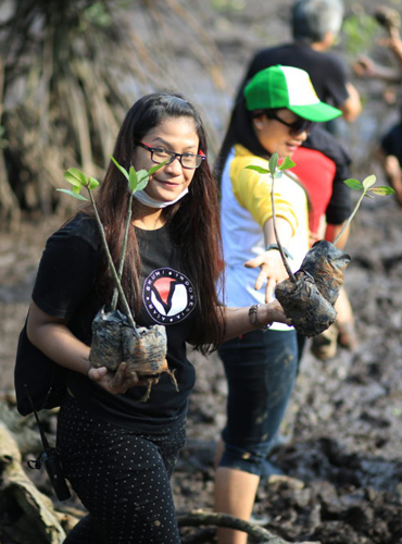 mangrove replanting project